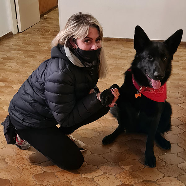 enseñar a un cachorro de perro a no romper