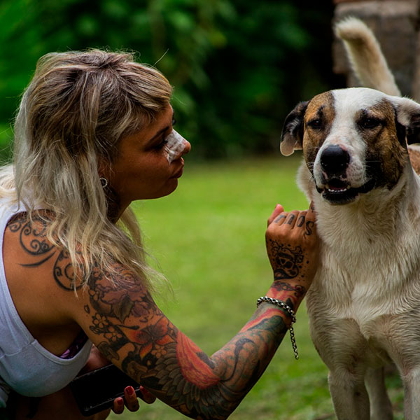 enseñar a un cachorro de perro a no romper