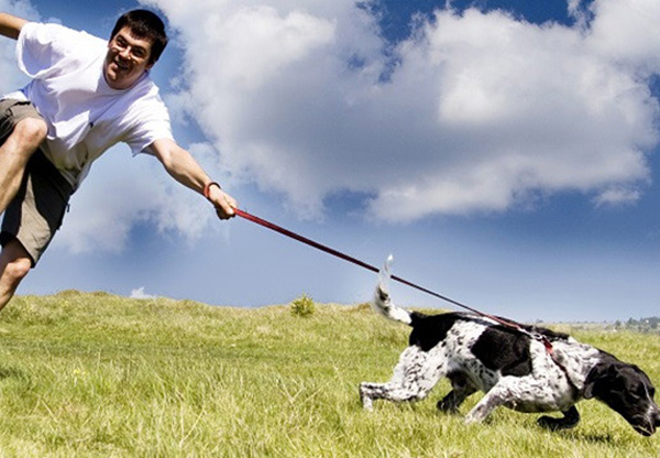 instructor canino en Capital Federal